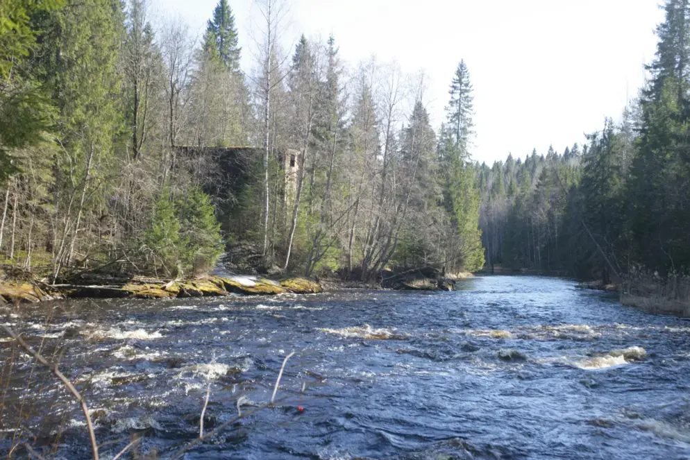 Дом творчества композиторов в Сортавале останется местом силы