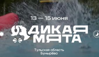 Дикая мята | 2025.06.13