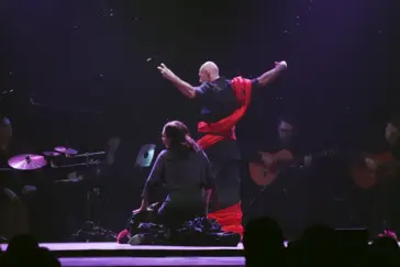 Виват, Сальвадор